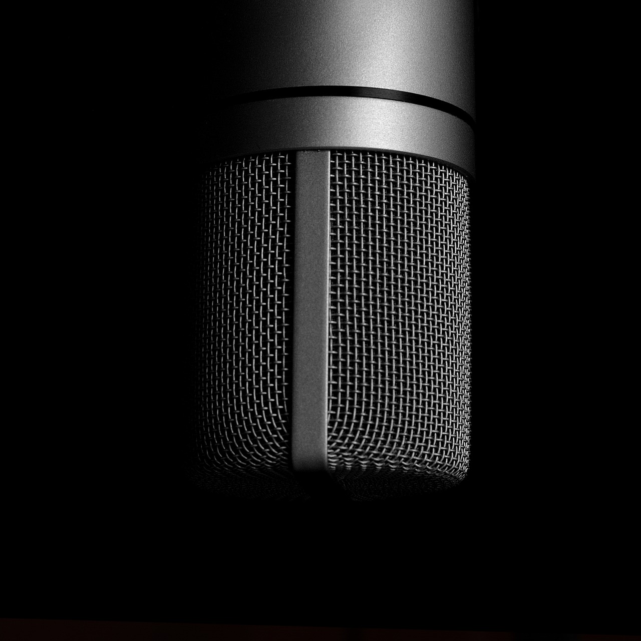 Microphone Music I Am A Student  - FOTEROS / Pixabay